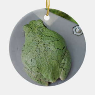 Tree frog ornament
