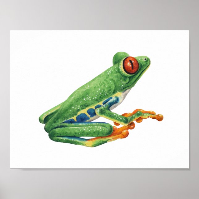 Tree frog poster (Front)