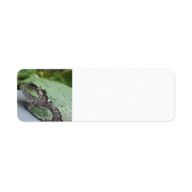 Tree Frog Return Labels (Front)