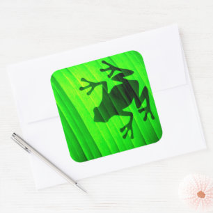 Tree Frog Square Sticker