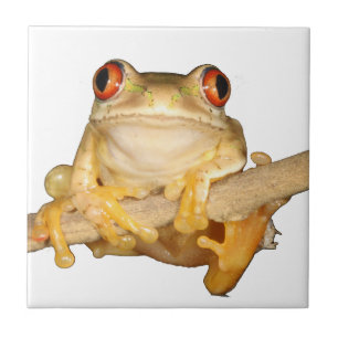 Tree Frog Tile