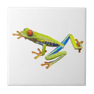 Tree Frog Tile