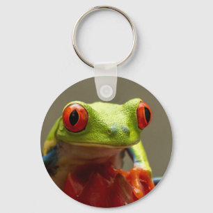 Tree Frog with Red Eyes in Costa Rica Key Ring