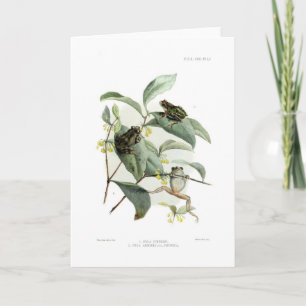 Tree frogs card