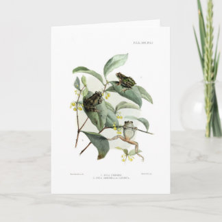Tree frogs card