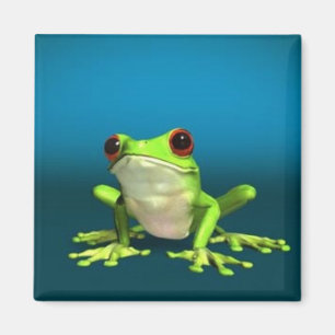 tree frogs magnet