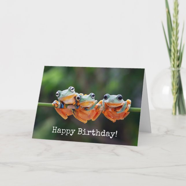 Tree Frogs Trio - Birthday Card (Front)