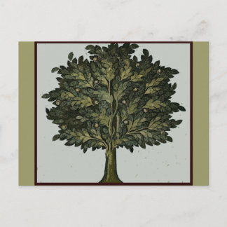 Tree Garden Card