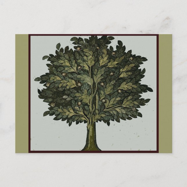 Tree Garden Card (Front)