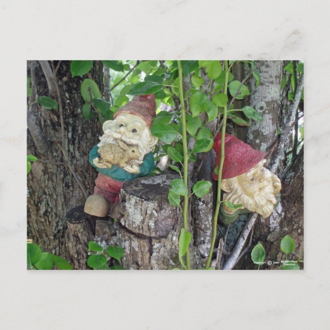 TREE GNOMES POSTCARD (Front)