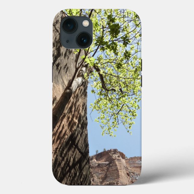 Tree Growing Between Rocks at Zion National Park Case-Mate iPhone Case (Back)