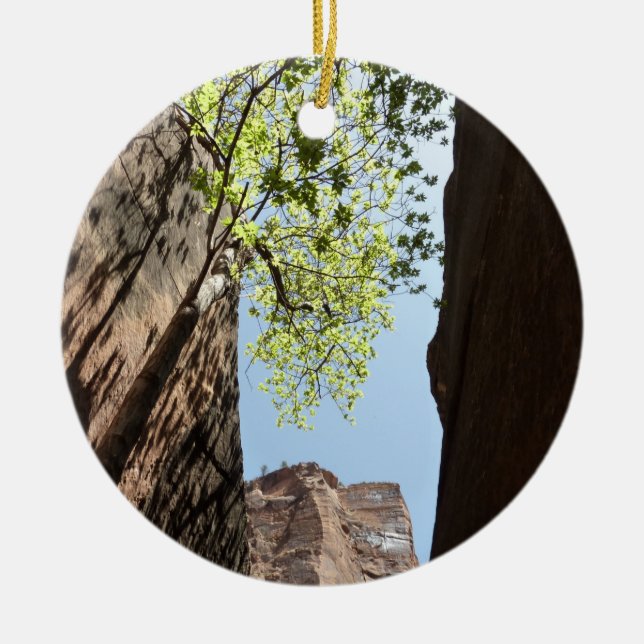 Tree Growing Between Rocks at Zion National Park Ceramic Tree Decoration (Front)
