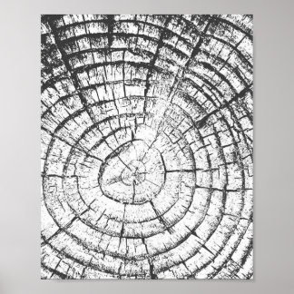 Tree Growth Ring Black and White Fingerprint Poster
