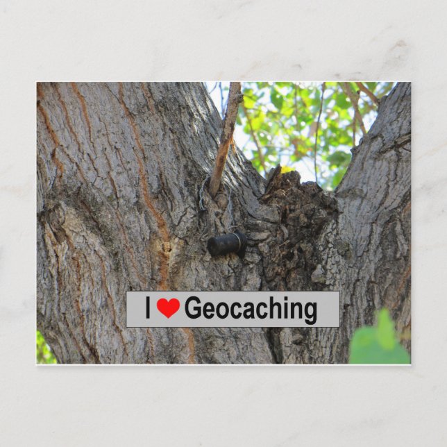 Tree Hanger Cache: Geocaching Postcard (Front)