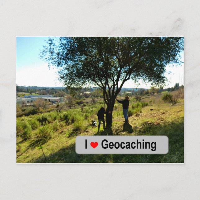 Tree hanger cache in Geocaching Postcard (Front)