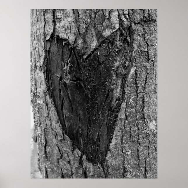 Tree Heart Carving Poster (Front)