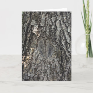 tree heart greeting card #1