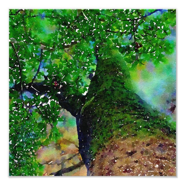 "Tree Hug" Digital Watercolor Photo Enlargement (Front)