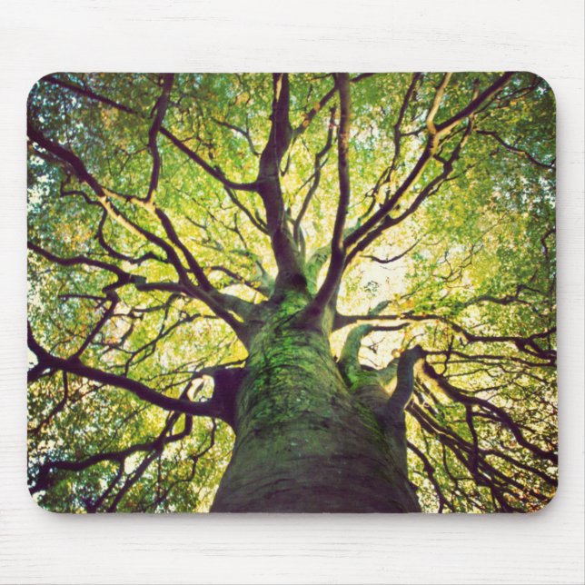 Tree Hugging Mouse Pad (Front)