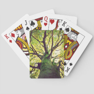 Tree Hugging Playing Cards