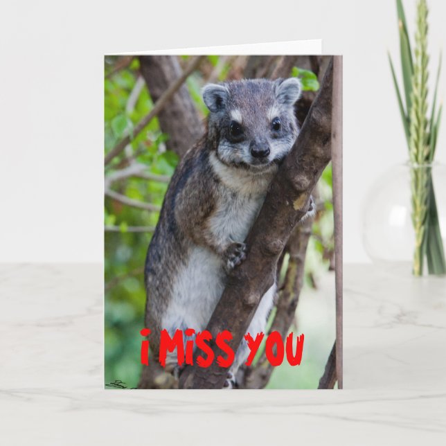 Tree Hyrax, I MISS YOU Card (Front)