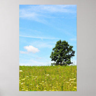 Tree in a Field Poster