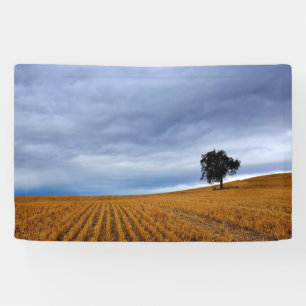 Tree in a wheat field banner