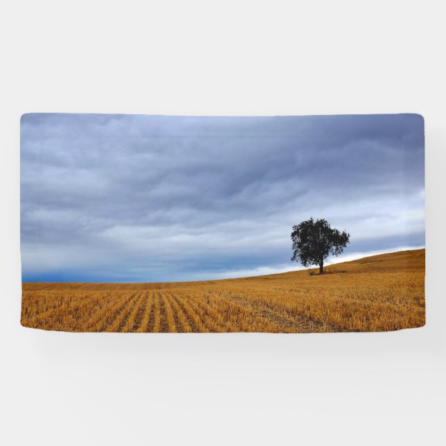 Tree in a wheat field banner (Horizontal)