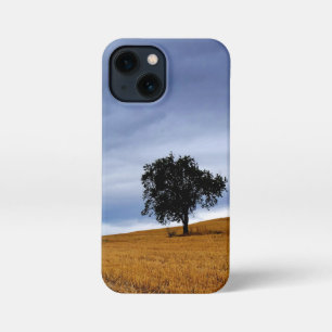 Tree in a wheat field iPhone 13 mini case