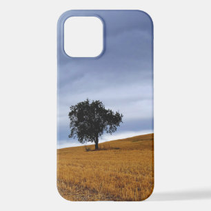 Tree in a wheat field iPhone 12 case