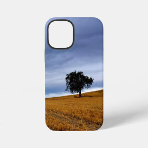 Tree in a wheat field iPhone 12 mini case