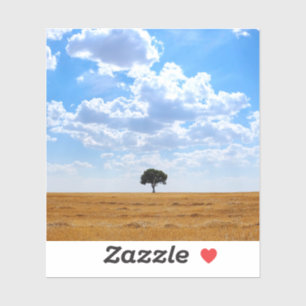 Tree in an harvested wheat field