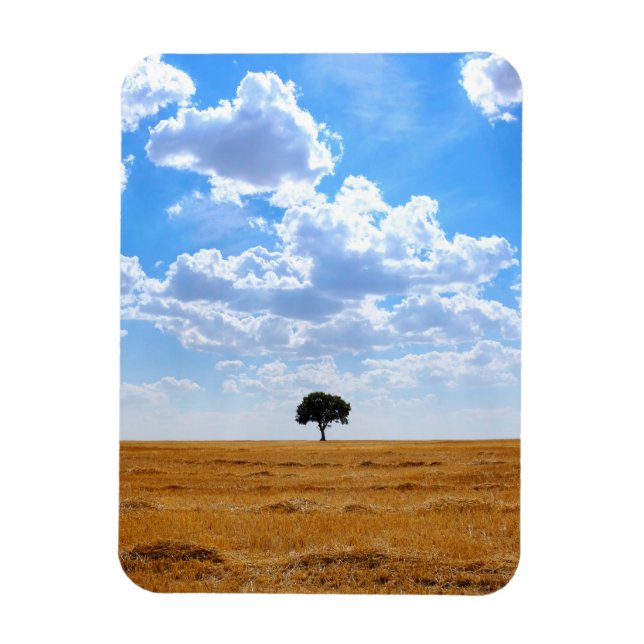 Tree in an harvested wheat field  magnet (Vertical)