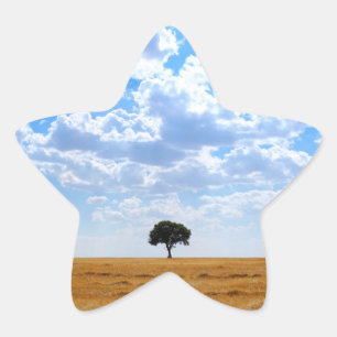 Tree in an harvested wheat field star sticker
