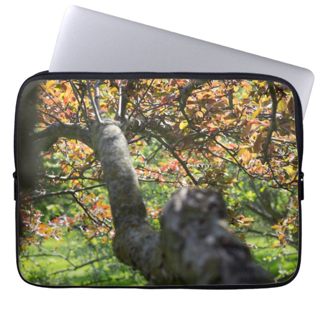 Tree in Autumn Photography Laptop Sleeve (Front)