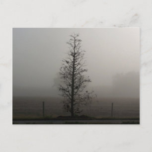 Tree in Fog 038 Post Card
