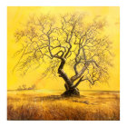 Tree in Golden Light