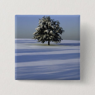 Tree in snow covered landscape 15 cm square badge