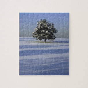 Tree in snow covered landscape jigsaw puzzle