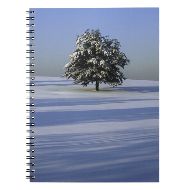 Tree in snow covered landscape notebook (Front)