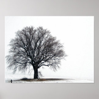 tree in snow poster