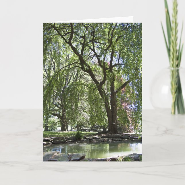 Tree in Spring Card (Front)