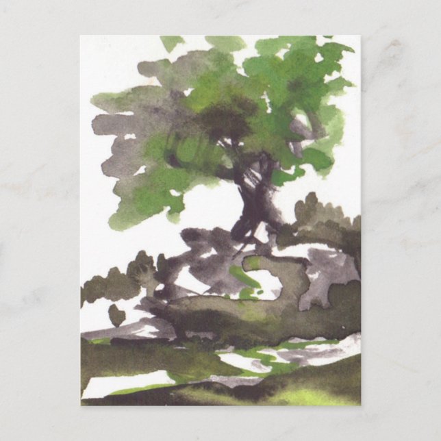 Tree in Summer Watercolor Postcard (Front)