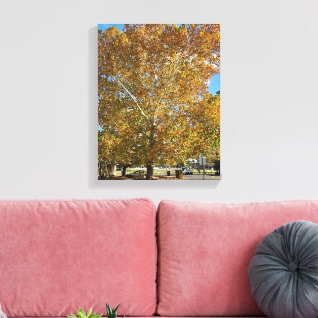 Tree in the golden hour canvas print (Insitu(LivingRoom))