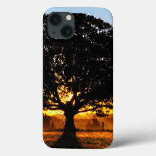 Tree in the Morning iPhone 13 Case