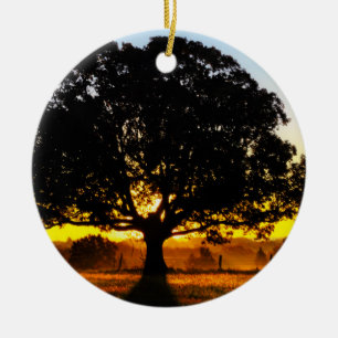 Tree in the Morning Ceramic Tree Decoration