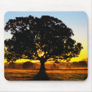 Tree in the Morning Mouse Pad