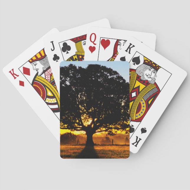 Tree in the Morning Playing Cards (Back)