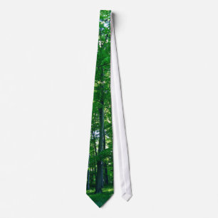 tree in woods tie
