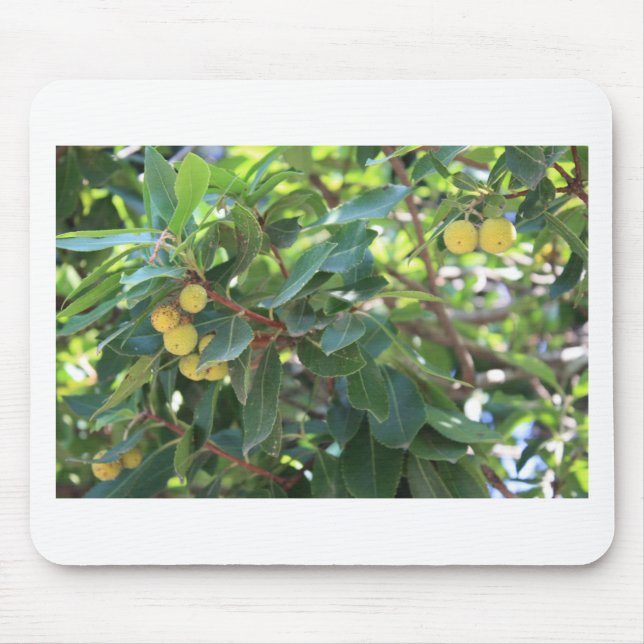 Tree, Italy Mouse Pad (Front)